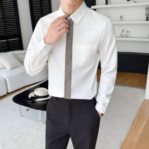 LT201*格子领带男潮流韩版帅气长袖衬衣工作服秋冬男职业装P55图片
