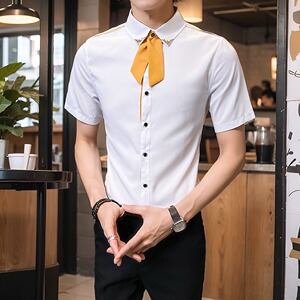 LT136*男女短袖领带装饰奶茶店衬衣工作服营业员衬衫定制LOGOP40图片