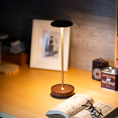 高级感氛围北美黑胡桃木原创设计