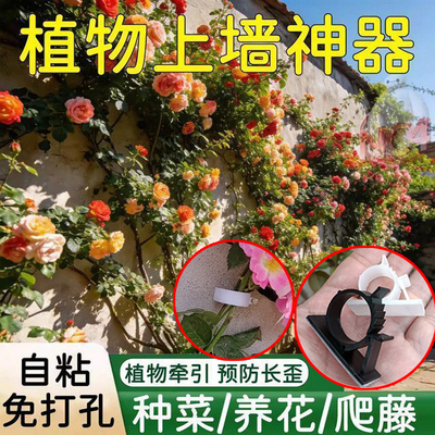户外墙钉爬墙固定器花枝牵引卡扣