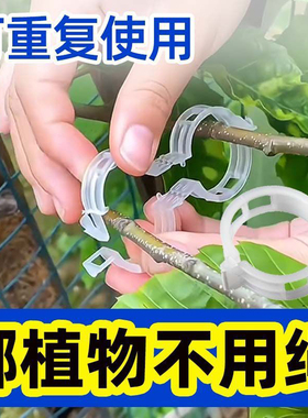 扶蔓固定夹园艺绿植绑蔓夹卡扣藤蔓大棚秧苗防倒伏爬藤固定器夹子