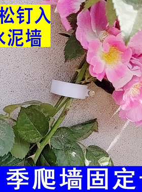 月季爬墙固定器绿植上墙卡扣蔷薇园艺花枝牵引辅助水泥钉户外墙钉