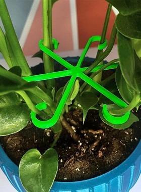 龟背竹支撑固定器枝干收拢架防倒伏春水培固定花盆架园艺花卉绿植