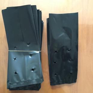 黑色加厚塑料柑橘育苗袋脐橙营养杯桶芦柑容器袋柑桔加厚育苗杯