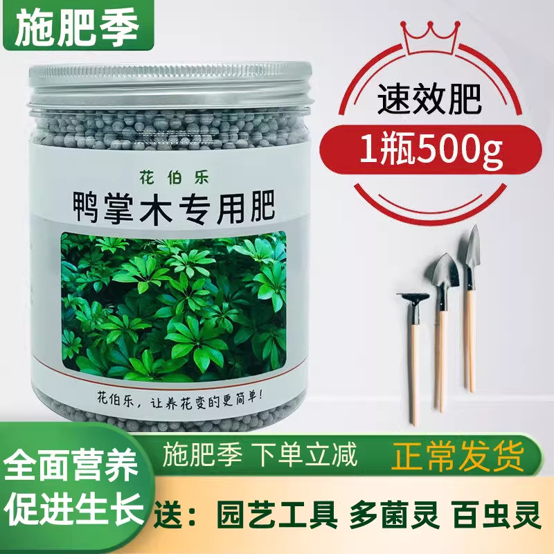 有机鸭掌木肥料植物颗粒营养液