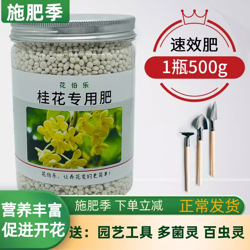 桂花催花促生长专用肥料