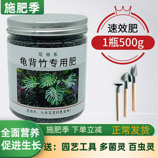 花伯乐龟背竹专用肥大盆栽仙洞龟背竹肥料绿植白锦龟背竹花肥家用