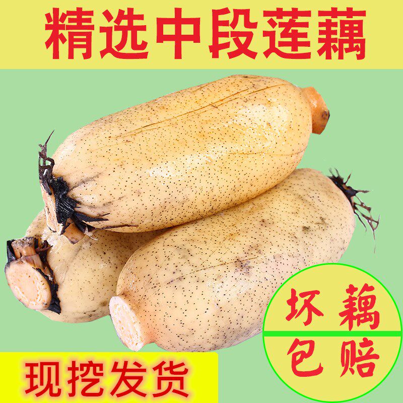 新鲜莲藕脆藕丑藕菜藕5斤莲菜深水湖藕甜藕粉藕现挖发货包邮
