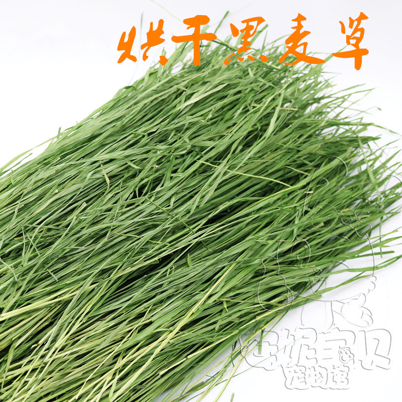 龙猫荷兰猪烘烤烘干兔草