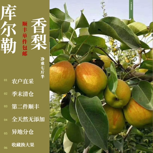 香梨新疆库尔勒香梨箱装新疆全母梨现摘现发香梨当季水果顺丰整箱