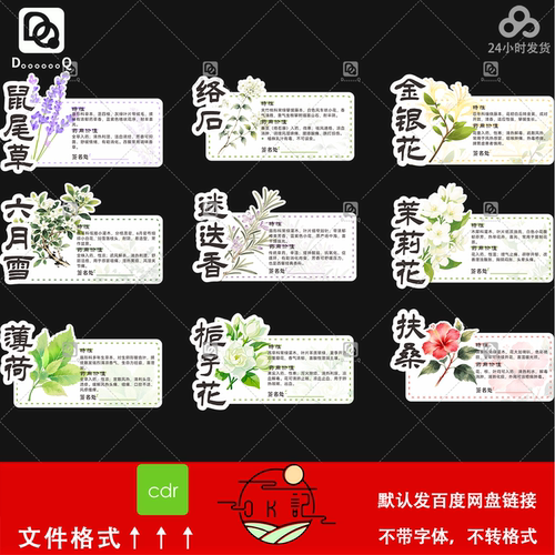 花朵植物标签贴纸花草药用价值名片说明书卡片异形kt板设计素材