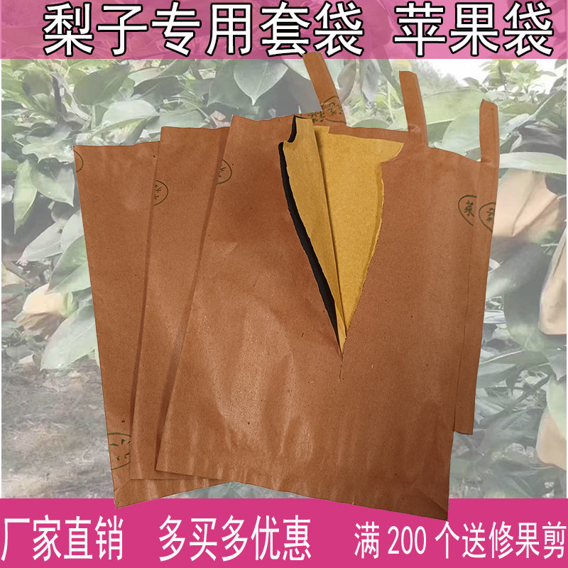 套梨的纸袋 梨子专用套袋 苹果套袋黄金梨套袋秋月梨袋套梨袋专用