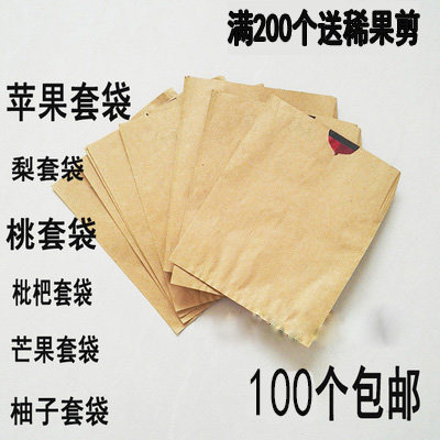 苹果套袋梨套袋双层桃子育果袋芒水果套袋/果袋