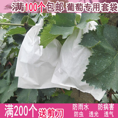 葡萄专用套袋防雨防虫防鸟