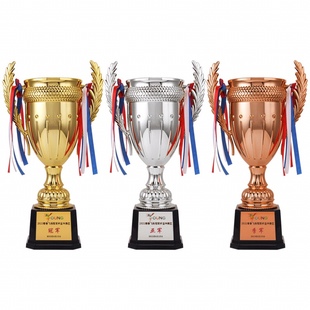 定制塑脂金属通用奖杯定制儿童跳舞小学生运动会金银铜颁奖典礼