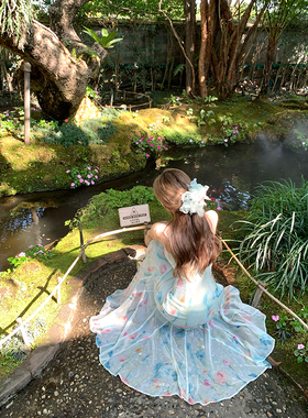 Ashy Snow 尼罗河花园 春夏旅游网纱花朵吊带鱼尾长款仙女连衣裙