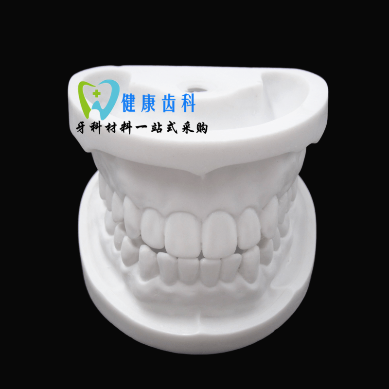 白钢玉牙模型   白刚玉牙模型 标准牙体制 窝洞备牙贴面练习