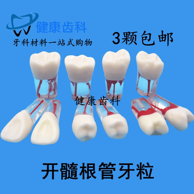 医考根管牙粒开髓牙根管充填