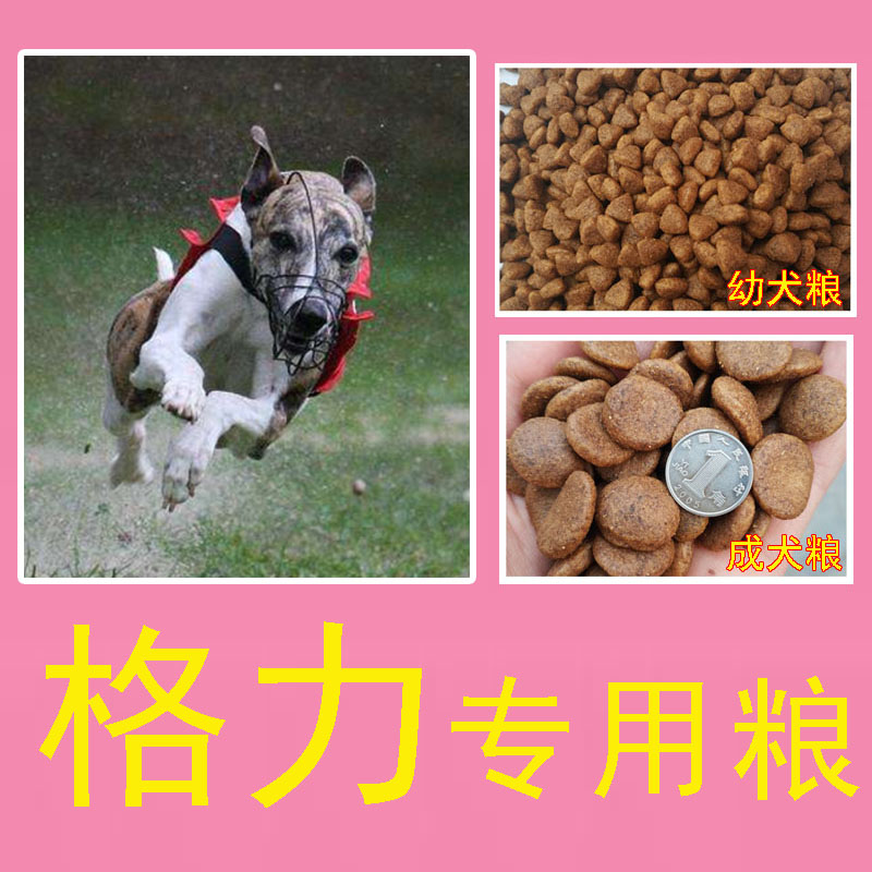 格力惠比特专用狗粮皮蛋通用犬粮