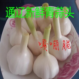 东北特产新鲜大蒜，青蒜头新鲜青蒜 大蒜头 嫩蒜头500克