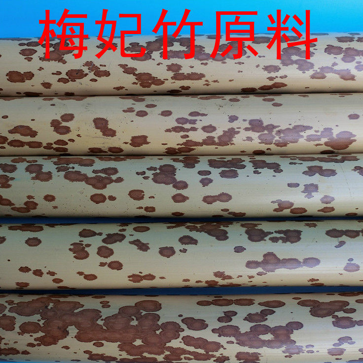 梅妃竹红香妃湘妃竹扇骨笔筒斑竹梅鹿竹紫竹臂搁蟋蟀虫罐原料68