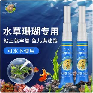 国象水草胶鱼缸造景莫斯骨架沉木苔藓珊瑚透明胶水下用海水缸胶水
