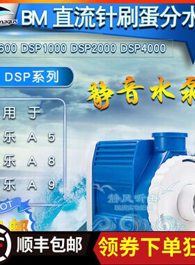 BM海水鱼缸直流针刷蛋分泵a5 a8 a9蛋分用泵dsp600dsp1000dsp4000