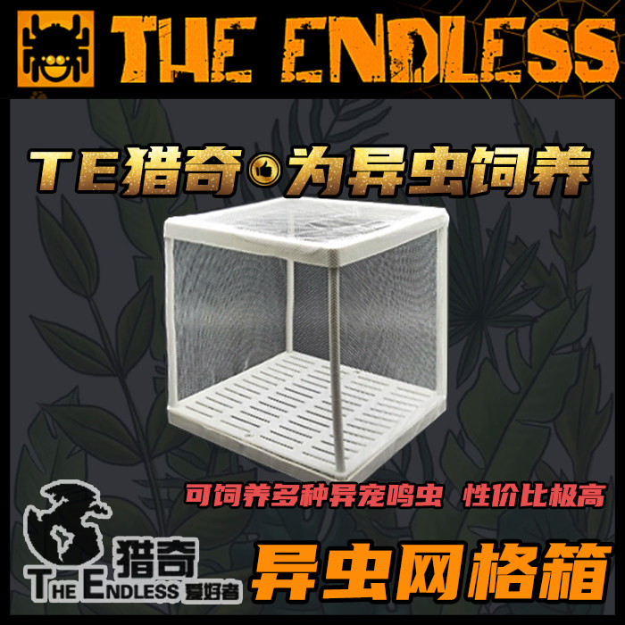 【TE猎奇】爬虫 异宠 螳螂网箱 蜘蛛 昆虫 饲养 网箱 网格饲养盒