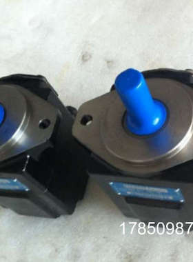 议价T6DCCM-B38-B22-B12-3R01-B100  丹尼逊  T6CC-B28-B22-1R03-