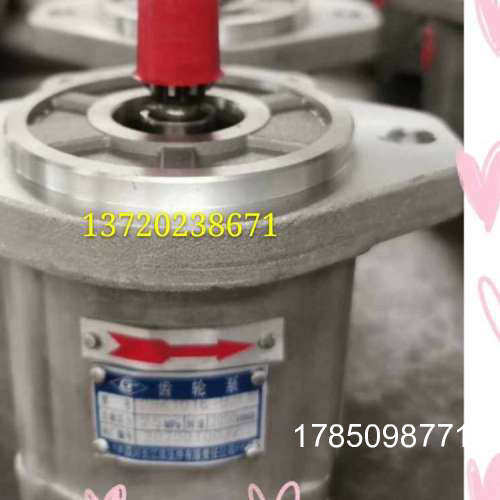 议价四川长江齿轮泵CBK1010-B1FR武汉鑫液压13707119094CBL5100-A