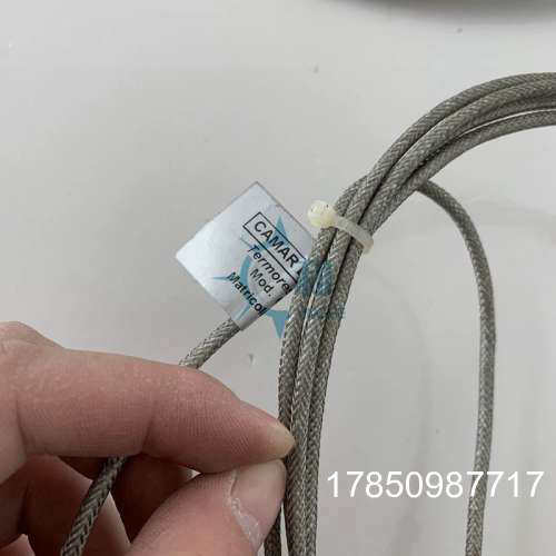 议价意大利CAMAR热电偶TERMORESISTENZA PT100 OHM CL. B议价