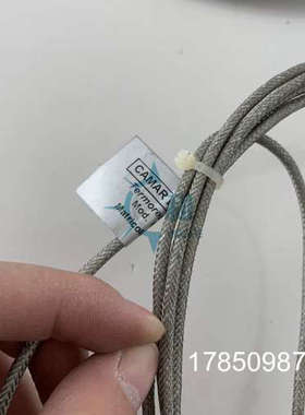 议价意大利CAMAR热电偶TERMORESISTENZA PT100 OHM CL. B议价