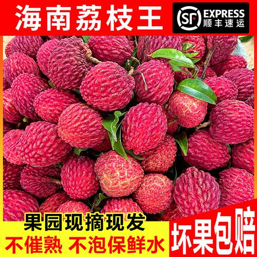 海南荔枝王超大鲜包邮现摘现发