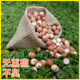 农家无熏硫不臭鸡头米红皮芡实仁茨整粒250g克买2斤起 肇庆 包邮