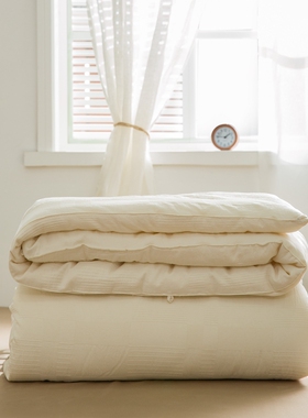 简约原棉A类不染大豆被加厚保暖全棉被芯纯棉春秋四季被宿舍双人