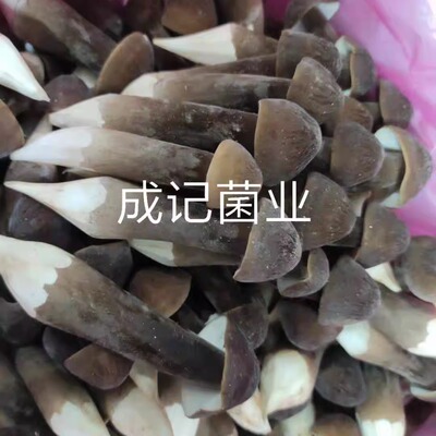 黑皮鸡枞菌特色迷你行情价