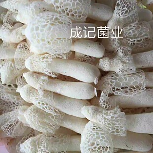 鲜竹花干竹荪菌 菌中皇后 竹荪菌(去壳)竹笙 酒店特色食材