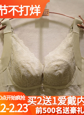 爱戴D6679性感蕾丝BC杯深V兔耳超薄水晶杯显小宽肩带无痕调整文胸