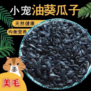 仓鼠小零食小瓜子生小油葵花籽黑珍珠原味金丝熊磨牙食物 美毛