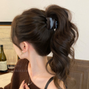 高马尾抓夹固定神器女鲨鱼夹子饱满后脑勺高级感发夹2025新款 发饰