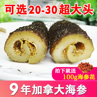 【 送海参花】9年野生北极海参淡干货加拿大冰岛进口刺参500g包邮