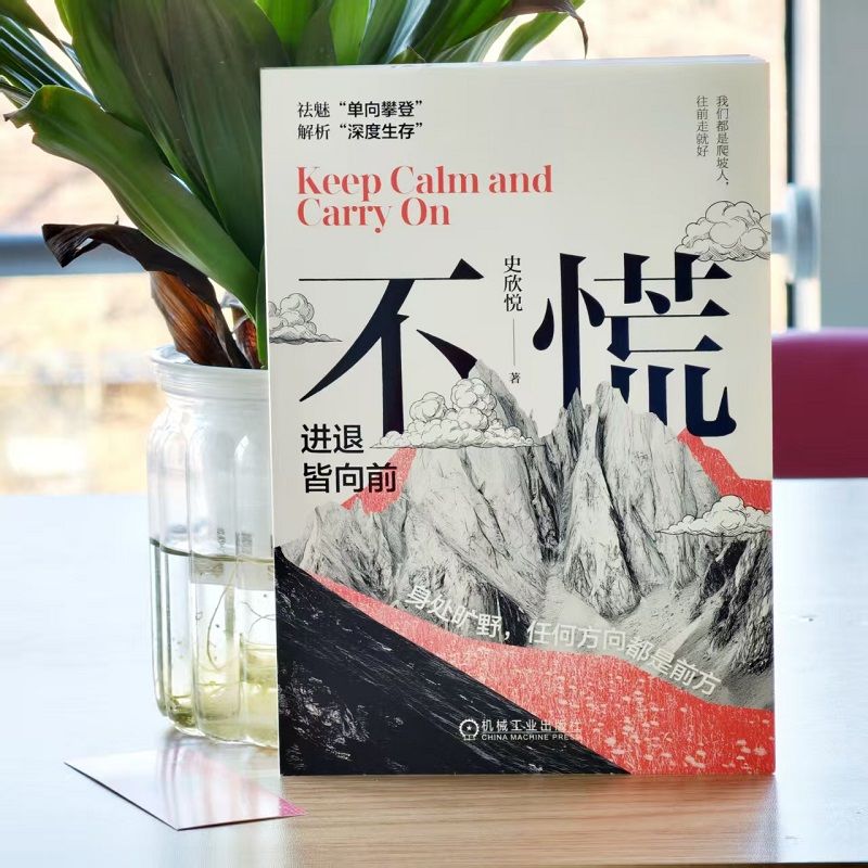 不慌：进退皆向前 迷茫 成长 史欣悦 低谷 工作 财务独立 愿景 朋友圈 企业 员工 原则 安居平五路 改变 机工社图片