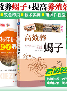 怎样提高蝎子养殖效益高效养蝎子