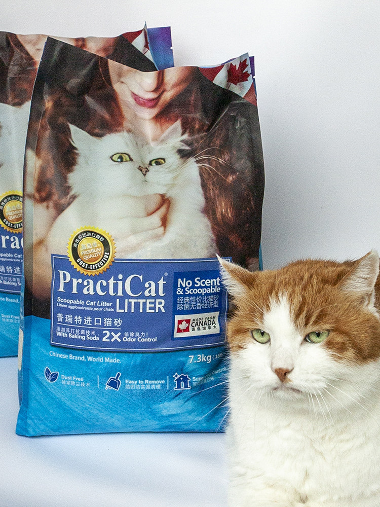 进口猫砂普瑞特膨润土猫沙低粉尘无香结团除臭土砂加拿大