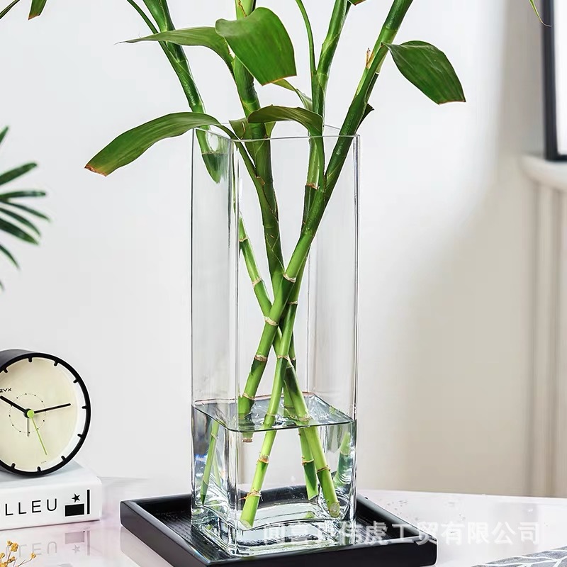 透明玻璃花瓶方形家用水养竹马