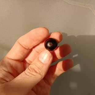 野生无患子三通 送佛塔 木患子老籽单珠已打眼 尺寸单选