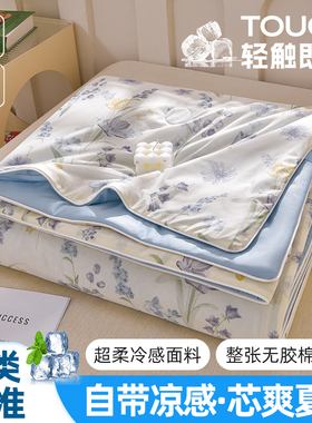夏季A类凉感丝印花夏凉被单双人学生空调被夏凉被可机洗被子被芯