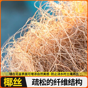 原产环保椰丝天然椰棕丝铺面椰壳丝园艺花店棕榈丝棕树皮鸡窝耐用