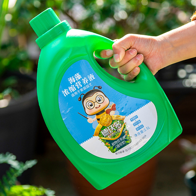 大树生根液枯树再生复活液树木移栽壮苗剂植物通用型营养液激活液