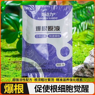金弹子爆根剂专用生根壮苗水溶肥复活营养粉原液扦插强力猛活力素